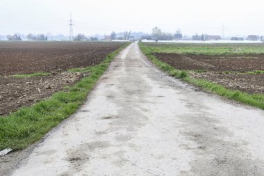 Tarlalar ve çayırlar arasındaki yol. Kırsal alan