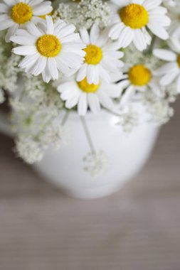 Papatyalı buket ve gümüş teneke içinde diğer kır çiçekleri, boşluğu kopyalayın. Yaz çiçekleri