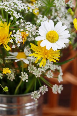 Papatyalı buket ve gümüş teneke içinde diğer kır çiçekleri, boşluğu kopyalayın. Yaz çiçekleri