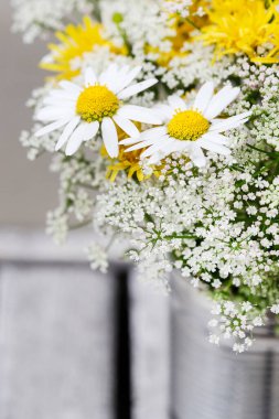 Papatyalı buket ve gümüş teneke içinde diğer kır çiçekleri, boşluğu kopyalayın. Yaz çiçekleri