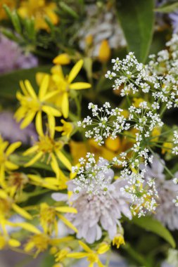 Papatya ve diğer kır çiçekleriyle dolu bir buket. Ev dekoru
