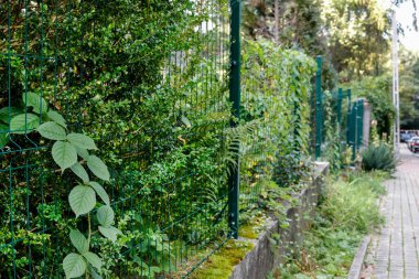 Modern bir çitin arkasında çeşitli bitkilerle dolu yemyeşil bir bahçe. Bahçe hobisi