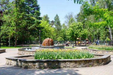 Nowy Targ 'daki halka açık bir parkta çeşitli çiçek türleri ve diğer bitkilerle çevrili bir çeşme..