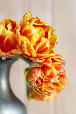 Altın vazoda bir buket turuncu lale. Parti dekoru
