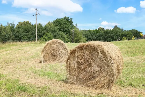 stock image Big roll of hay in the meadow. Summer village work