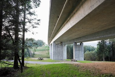 Polonya 'nın Rabka Zdroj kenti yakınlarındaki Zakopianka yolu..