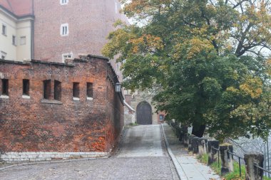 Polonya, Krakow 'daki Wawel kraliyet kalesi..
