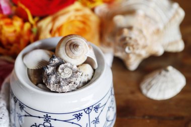 Deniz kabuklu bir kase, arka planda çiçekler. Deniz kıyısındaki tatilden duygusal bir hatıra..