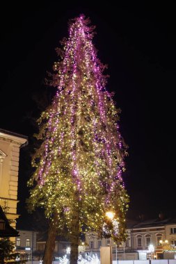 Polonya 'nın Nowy Targ şehrinde güzel, parlak Noel süslemeleri.