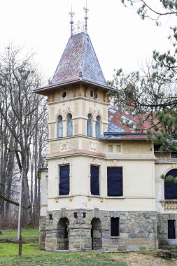 Polonya 'nın Raba Wyzna kentindeki bir malikane parkının ortasında terk edilmiş tarihi bir saray..