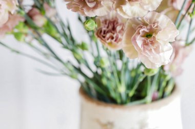 Bir buket pembe karanfil çiçeği. Bahar evi dekorasyonu