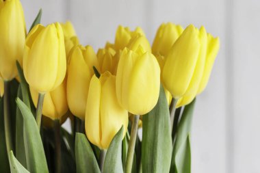 Güzel bir buket sarı lale. Bahar evi dekorasyonu