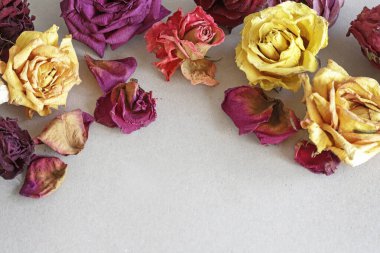 Kurumuş güllerle süslü bir arka plan. Grafiksel kaynaklar