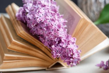 Eski kitap ve leylak çiçeği. Retro tarzı dekor. Grafiksel kaynaklar