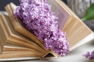 Eski kitap ve leylak çiçeği. Retro tarzı dekor. Grafiksel kaynaklar