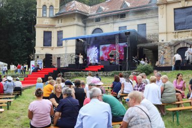 RABA WYZNA, POLAND - AĞUSTOS 04, 2024: Savaşlar arası temalı tarihi bir piknik, dönemin kostümleri ve aksesuarları, sanatçıların müzik performansları. Turistler için tatil yeri