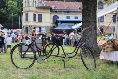 RABA WYZNA, POLAND - AĞUSTOS 04, 2024: Savaşlar arası temalı tarihi bir piknik, dönemin kostümleri ve aksesuarları, sanatçıların müzik performansları. Turistler için tatil yeri