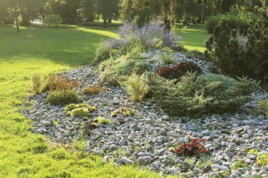 Çiçekleri ve kozalaklı çalıları olan lüks bir kaya bahçesi. Park dekoru