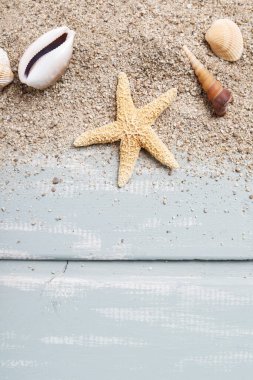 Deniz kabukları ve kum, arkaplan, boşluğu kopyala Grafik kaynakları