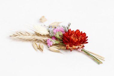 Küçük bir buket kurumuş çiçek. Grafiksel kaynaklar