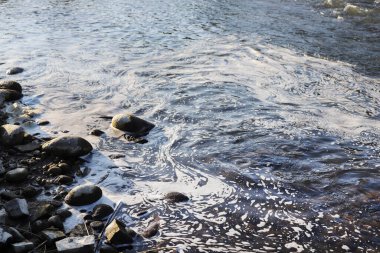 Nehirdeki kirli su. Yüzeyde kimyasal sızıntılar. Grafiksel kaynaklar