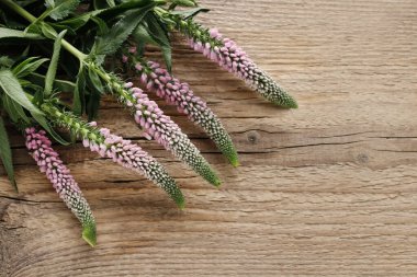 Veronica Smart ahşap masada, kopyalama alanı. Grafiksel kaynaklar