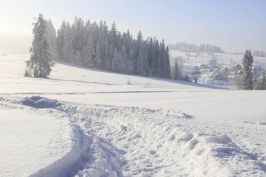 Dağlardaki karla kaplı çayırların ve ormanların peri masalı manzarası. Güzel kış manzarası