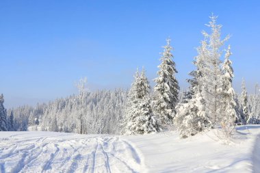 Dağlardaki karla kaplı çayırların ve ormanların peri masalı manzarası. Güzel kış manzarası