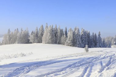 Dağlardaki karla kaplı çayırların ve ormanların peri masalı manzarası. Güzel kış manzarası