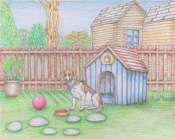 Köpek kulübesi olan bir bahçe. 