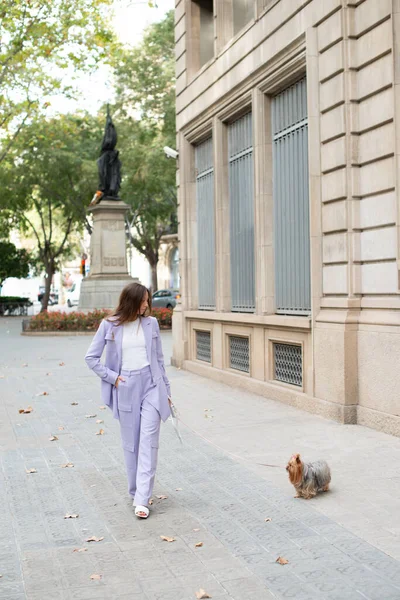 Street style portrait of a beautiful woman walking in the city center with little puppy. Woman walking with York Terrier dog on a leash on the street in trendy lilac outfit. Spring season. Selective focus photo
