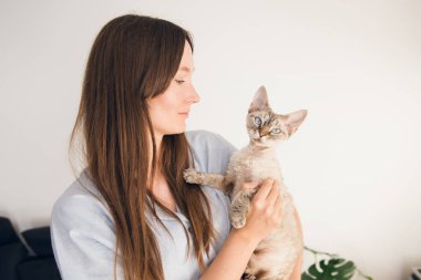 Woman is resting at home and spending time with cat, touching it gently and holding in her arms. Devon Rex cat loves its human owner. Cuddling a cat, happy pets concept. Breed with special hypoallergenic, no low shedding fur