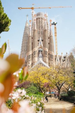 Antonio Gaudi 'nin Sagrada Familia Barselona Katolik Kilisesi. Bahar günü 21.03.2024. Güneşli sıcak hava insanları çiçek açmış ağaçlarla çevrili bir parkta yürüyorlar. Dünyanın en büyük tamamlanmamış Katolik kilisesi. Seçici odak fotoğrafı, film efekti