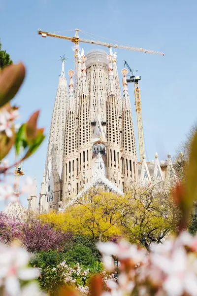 Kościół Katolicki Sagrada Familia Barcelona Autorstwa Antonia Gaudiego Dzień Wiosny Obrazek Stockowy