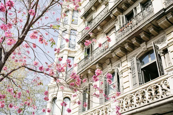 Fasada Modernistycznego Budynku Uroczymi Balkonami Kwitnącym Drzewem Przodu Nastrój Wiosenne Obrazy Stockowe bez tantiem