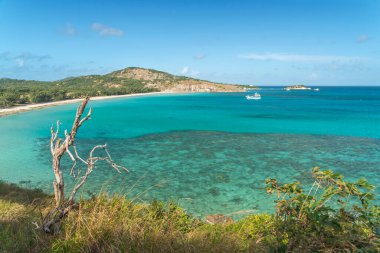 Avustralya 'daki Kertenkele Adası' nda turkuaz suyu olan tropikal Watsons Sahili. Kertenkele Adası Queensland 'ın kuzeydoğusundaki Büyük Set Resifi' nde yer almaktadır.
