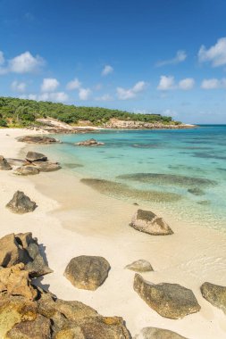 Avustralya 'daki Kertenkele Adası' nda turkuaz suyu olan tropikal altın kumlu Sunset Plajı. Kertenkele Adası Queensland 'ın kuzeydoğusundaki Büyük Set Resifi' nde yer almaktadır.