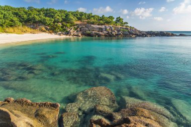 Avustralya 'daki Kertenkele Adası' nda turkuaz suyu bulunan pitoresk tropikal Pebbly Sahili. Kertenkele Adası Queensland 'ın kuzeydoğusundaki Büyük Set Resifi' nde yer almaktadır.