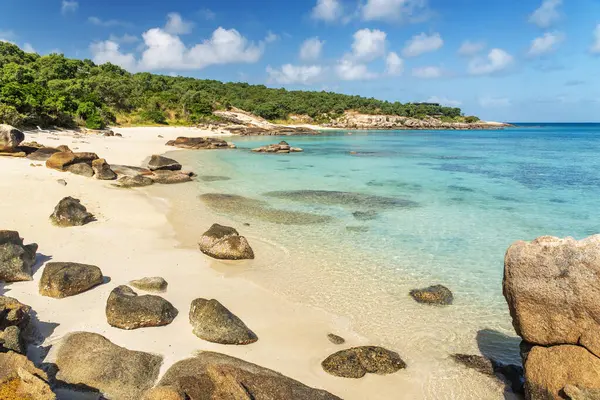 Avustralya 'daki Kertenkele Adası' nda turkuaz suyu olan tropikal altın kumlu Sunset Plajı. Kertenkele Adası Queensland 'ın kuzeydoğusundaki Büyük Set Resifi' nde yer almaktadır.