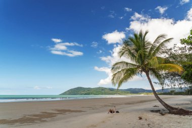 Daintree yağmur ormanlarında beyaz bulutlu mavi gökyüzü altında Queensland, Avustralya 'da tropikal altın kumlu bir sahil. Thornton Sahili güneyde Cape Tribulation Yolu ve doğuda Mercan Denizi ile çevrilidir..