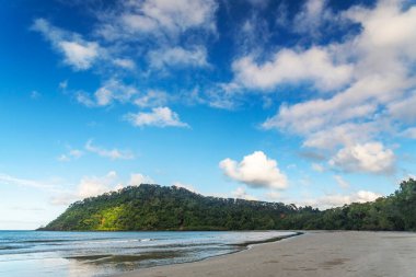 Daintree yağmur ormanlarında Queensland, Avustralya 'da mangrov ağaçları bulunan tropikal kumlu sahil. Kulki Sahili, Mercan Denizi 'nde Cape Tribulation yakınlarında yer almaktadır..