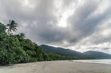 Daintree yağmur ormanlarında Queensland, Avustralya 'da mangrov ağaçları bulunan tropikal kumlu sahil. Kulki Sahili, Mercan Denizi 'nde Cape Tribulation yakınlarında yer almaktadır..