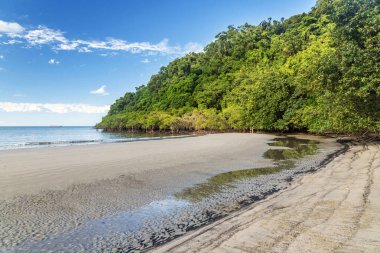 Daintree yağmur ormanlarında Queensland, Avustralya 'da mangrov ağaçları bulunan tropikal kumlu sahil. Kulki Sahili, Mercan Denizi 'nde Cape Tribulation yakınlarında yer almaktadır..