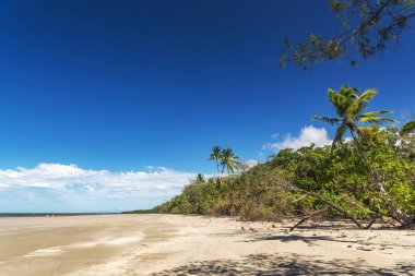 Cape Tribulation, Queensland, Avustralya 'daki pitoresk tropikal kumlu sahil. Cape Belâsı Mercan Denizi 'ndeki Daintree Ulusal Parkı' nda..