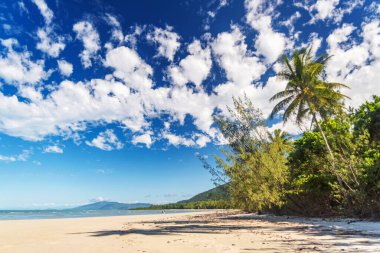 Cape Tribulation, Queensland, Avustralya 'daki pitoresk tropikal kumlu sahil. Cape Belâsı Mercan Denizi 'ndeki Daintree Ulusal Parkı' nda..