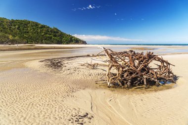 Cape Tribulation, Queensland, Avustralya 'daki pitoresk tropikal kumlu sahil. Cape Belâsı Mercan Denizi 'ndeki Daintree Ulusal Parkı' nda..
