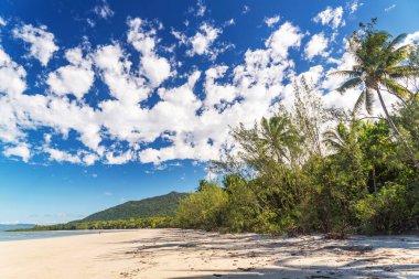 Cape Tribulation, Queensland, Avustralya 'daki pitoresk tropikal kumlu sahil. Cape Belâsı Mercan Denizi 'ndeki Daintree Ulusal Parkı' nda..