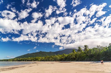 Cape Tribulation, Queensland, Avustralya 'daki pitoresk tropikal kumlu sahil. Cape Belâsı Mercan Denizi 'ndeki Daintree Ulusal Parkı' nda..
