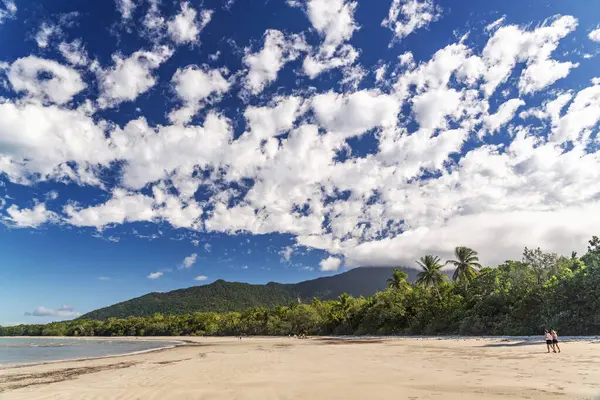Cape Tribulation, Queensland, Avustralya 'daki pitoresk tropikal kumlu sahil. Cape Belâsı Mercan Denizi 'ndeki Daintree Ulusal Parkı' nda..