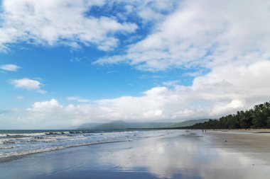 Port Douglas, Queensland, Avustralya 'daki görkemli tropikal altın kum Four Mile Sahili. Tropikal Kuzey Queensland 'in en popüler ve tanınmış plajlarından biridir..